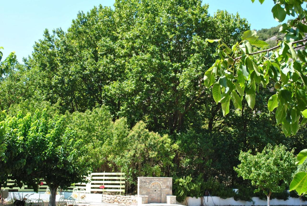 Guesthouse Eleftherios กาลาวริตา ภายนอก รูปภาพ