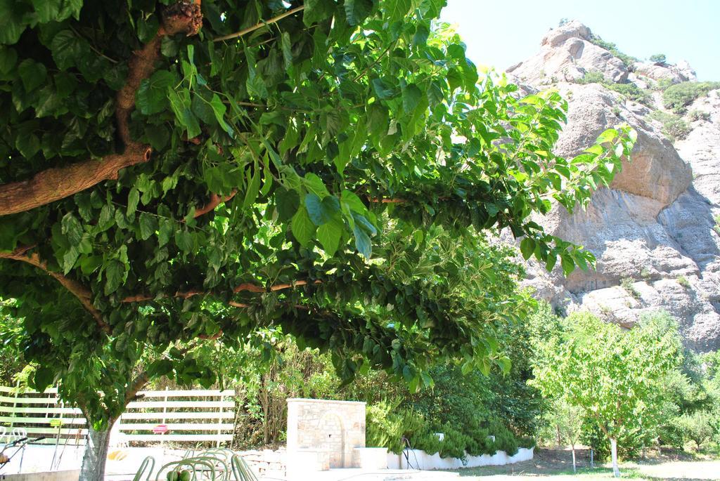 Guesthouse Eleftherios กาลาวริตา ภายนอก รูปภาพ