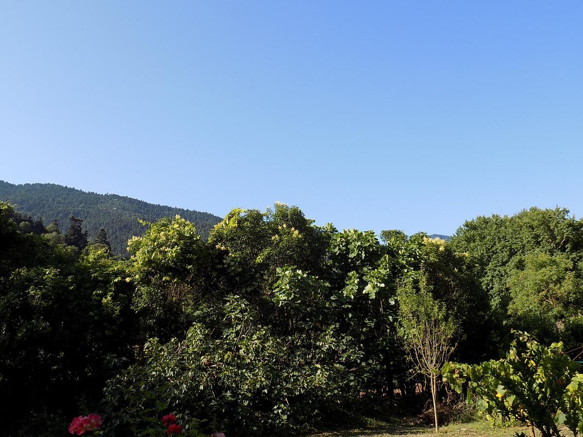Guesthouse Eleftherios กาลาวริตา ภายนอก รูปภาพ