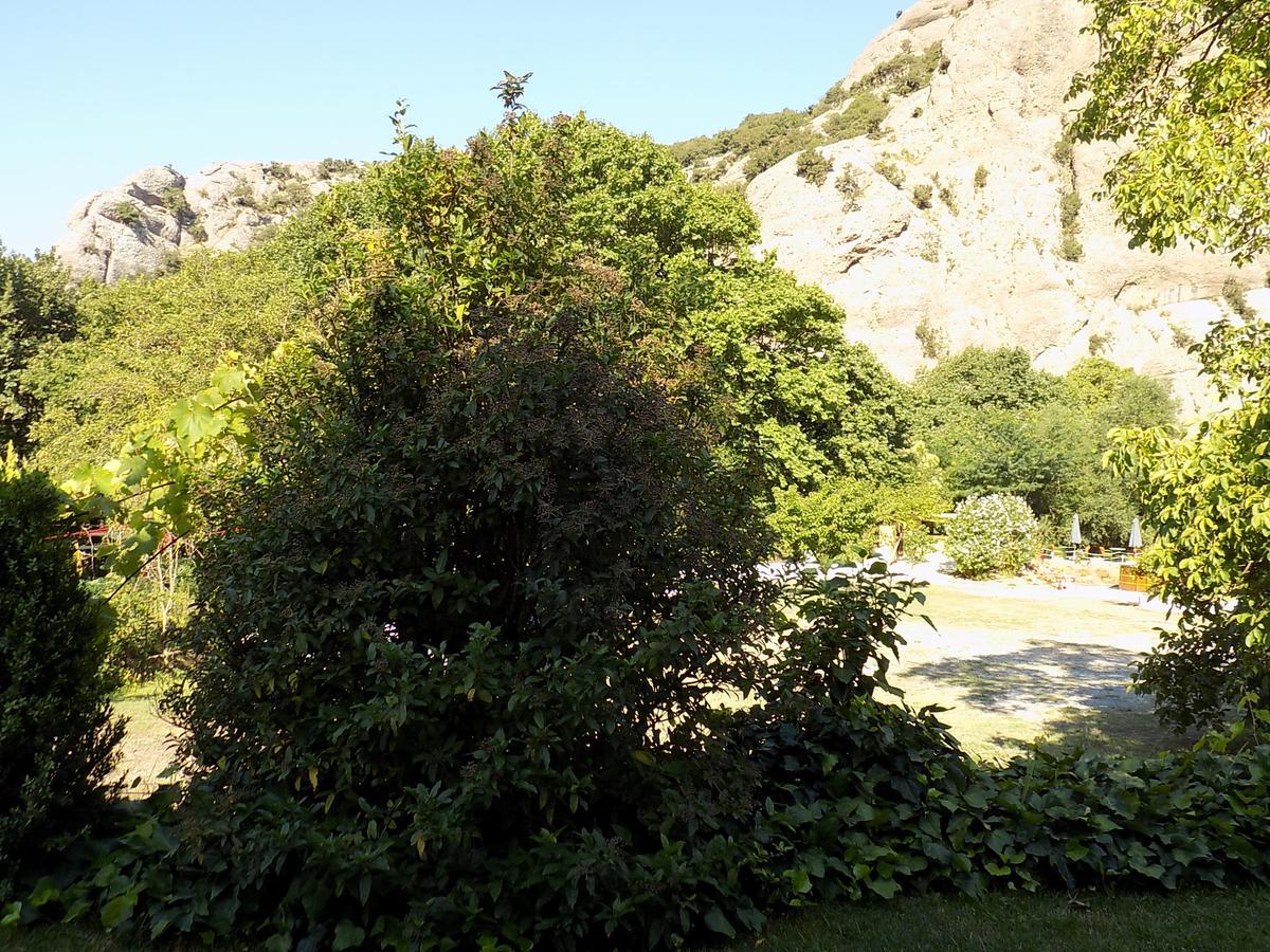 Guesthouse Eleftherios กาลาวริตา ภายนอก รูปภาพ